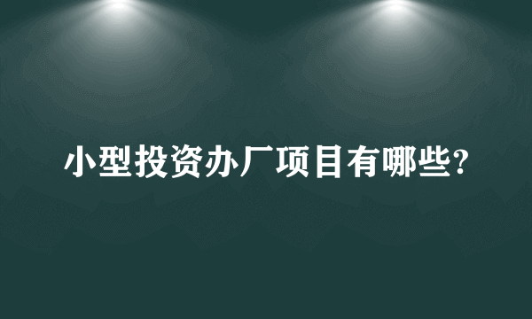 小型投资办厂项目有哪些?