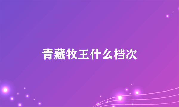 青藏牧王什么档次