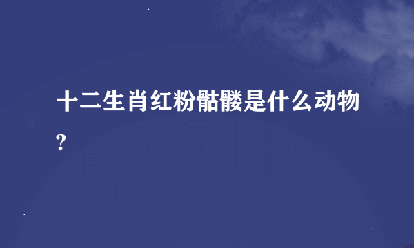 十二生肖红粉骷髅是什么动物?