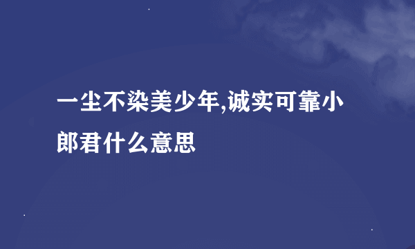 一尘不染美少年,诚实可靠小郎君什么意思