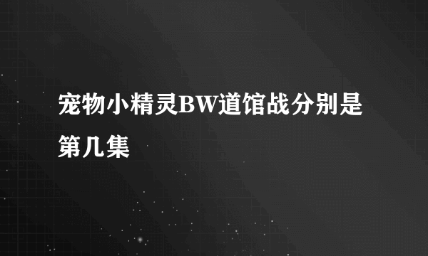 宠物小精灵BW道馆战分别是第几集