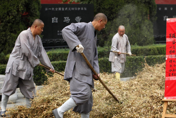 洛阳的白马寺遇丰收，游客帮僧人剥玉米，这是个什么样的场景？