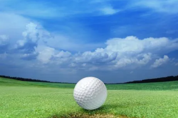 golf ball diver是什么意思