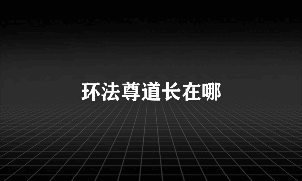 环法尊道长在哪