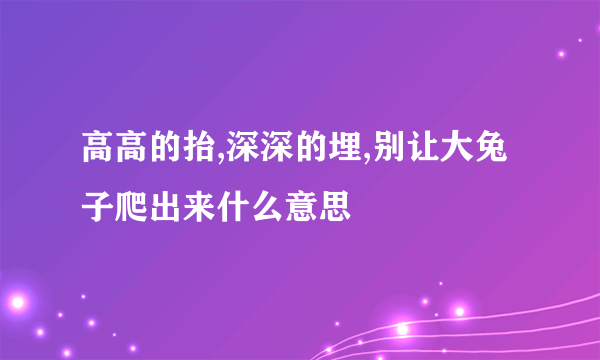 高高的抬,深深的埋,别让大兔子爬出来什么意思