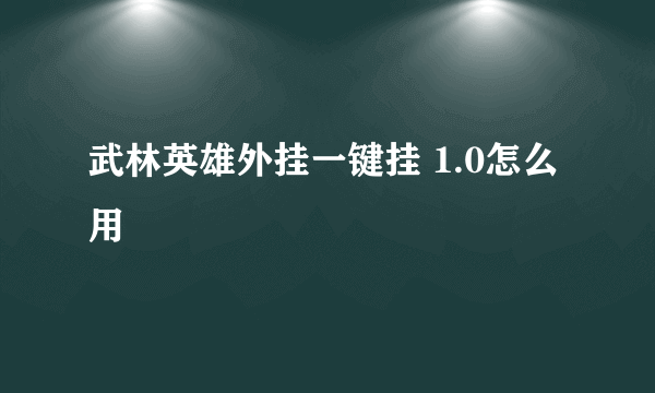 武林英雄外挂一键挂 1.0怎么用