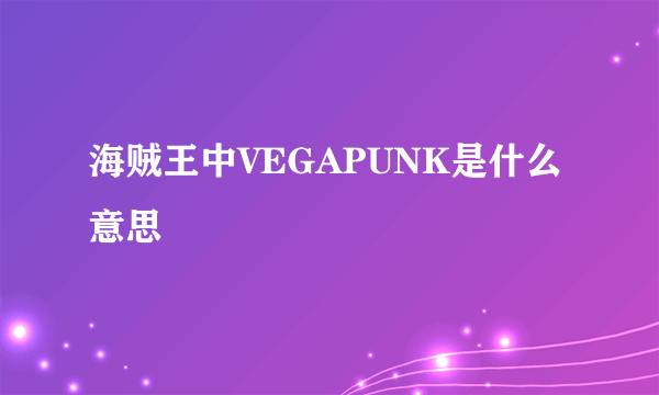 海贼王中VEGAPUNK是什么意思