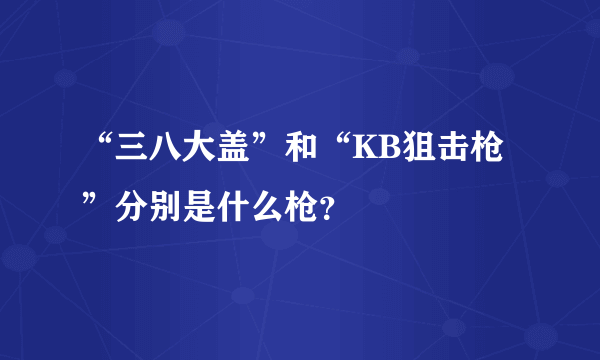 “三八大盖”和“KB狙击枪”分别是什么枪？