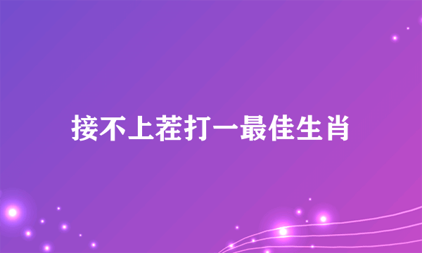 接不上茬打一最佳生肖