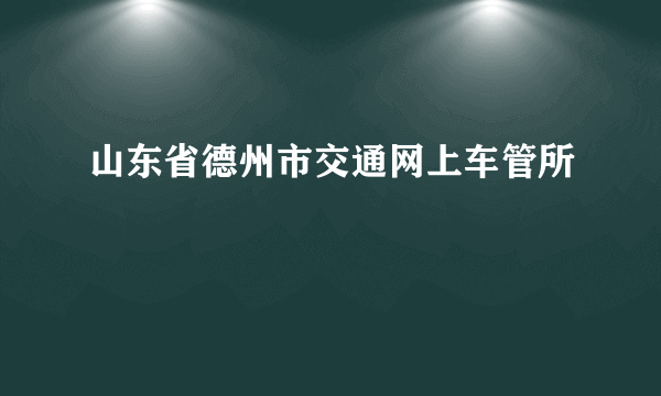 山东省德州市交通网上车管所