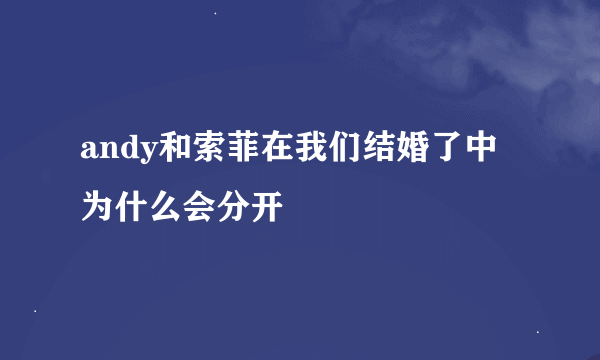 andy和索菲在我们结婚了中为什么会分开