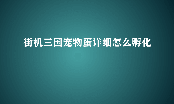 街机三国宠物蛋详细怎么孵化