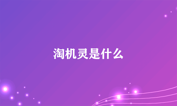 淘机灵是什么