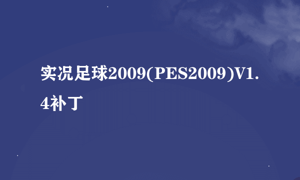 实况足球2009(PES2009)V1.4补丁