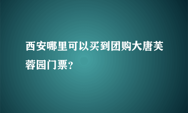 西安哪里可以买到团购大唐芙蓉园门票？