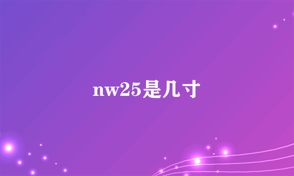 nw25是几寸