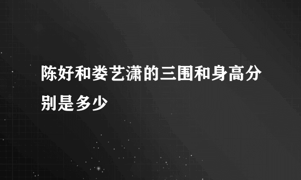 陈好和娄艺潇的三围和身高分别是多少