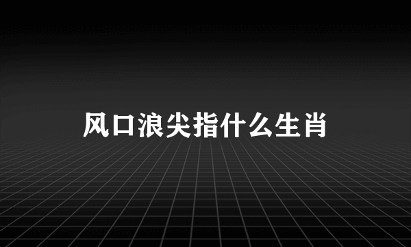 风口浪尖指什么生肖