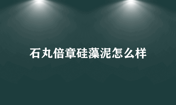 石丸倍章硅藻泥怎么样