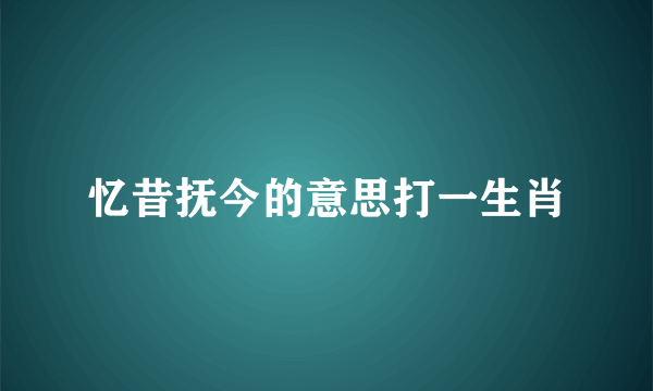 忆昔抚今的意思打一生肖