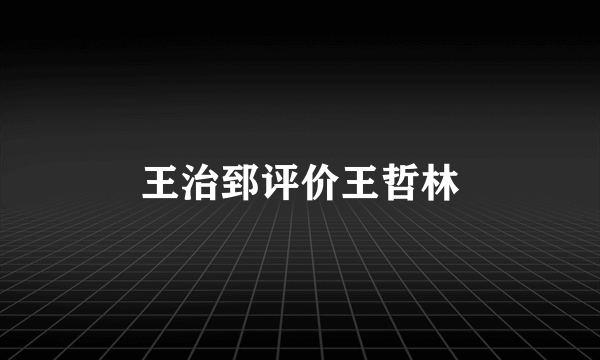 王治郅评价王哲林